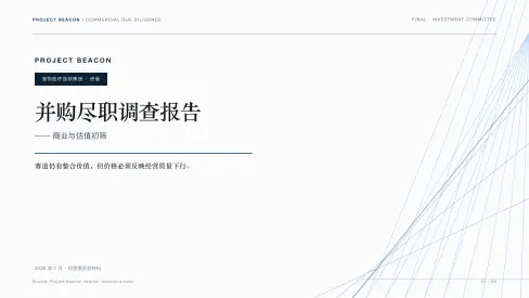靛青尽调模板预览