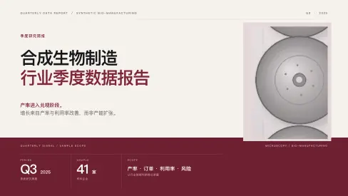 酒红数据模板预览